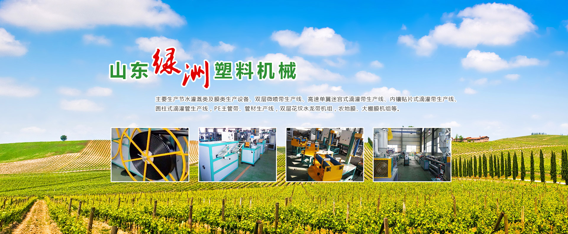 泗水縣騰龍石材有限公司